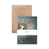 Mrs Mighetto | 'The Lake Stories' Notebooks 2-Pack Miss Bianca-Scandikid